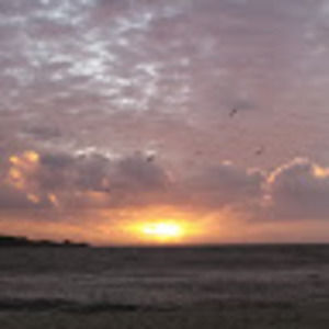 Meet your Posher, Dan